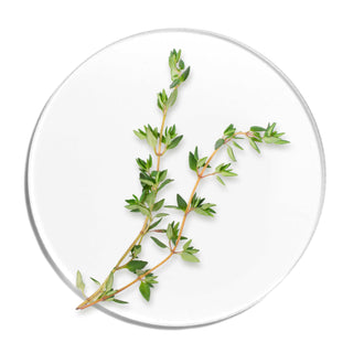 Thyme